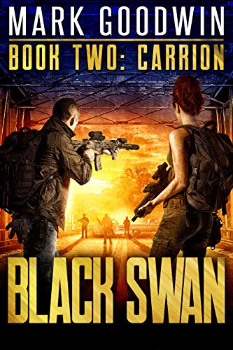 Black Swan book cover 2