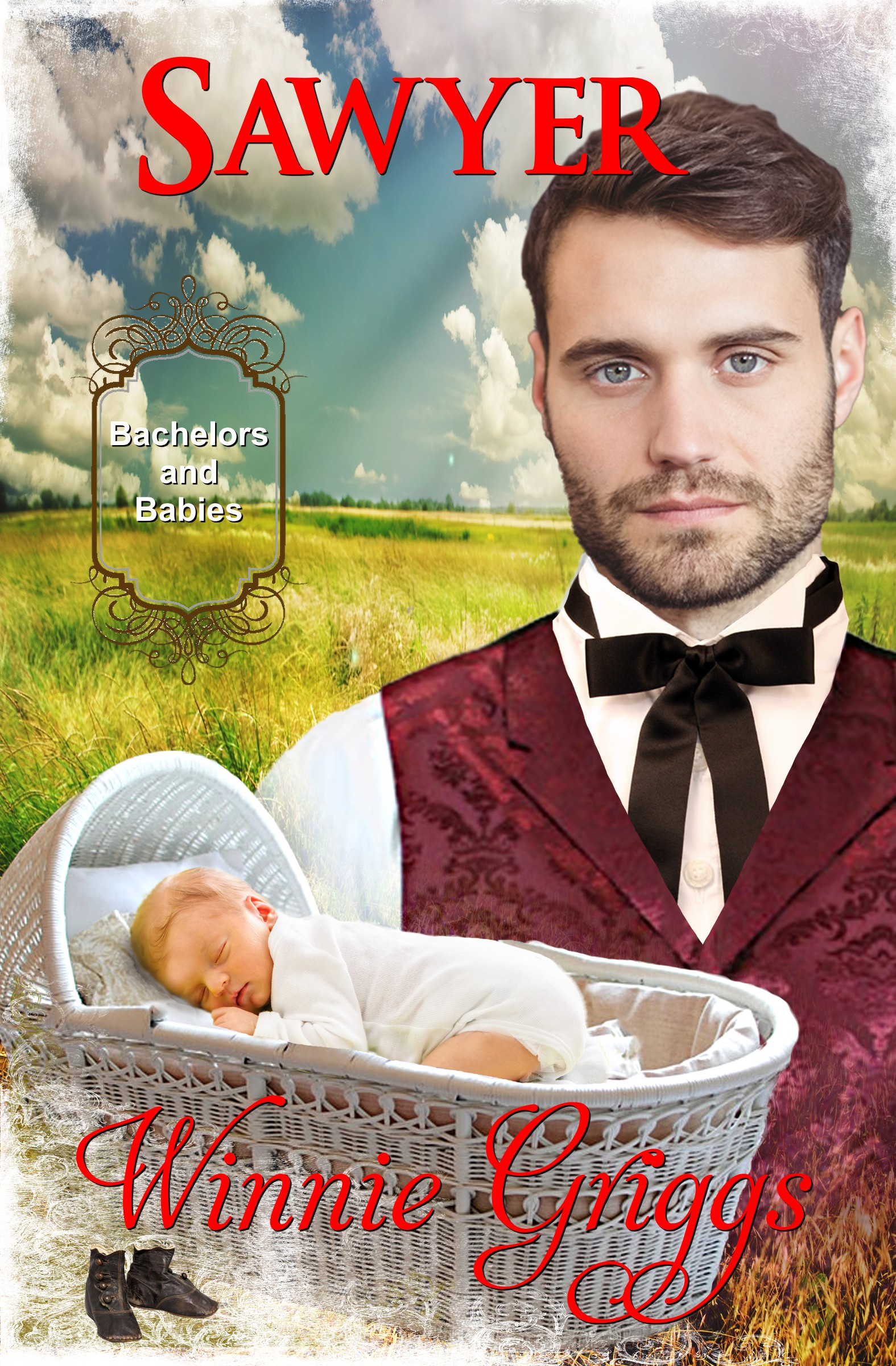 Sawyer book cover