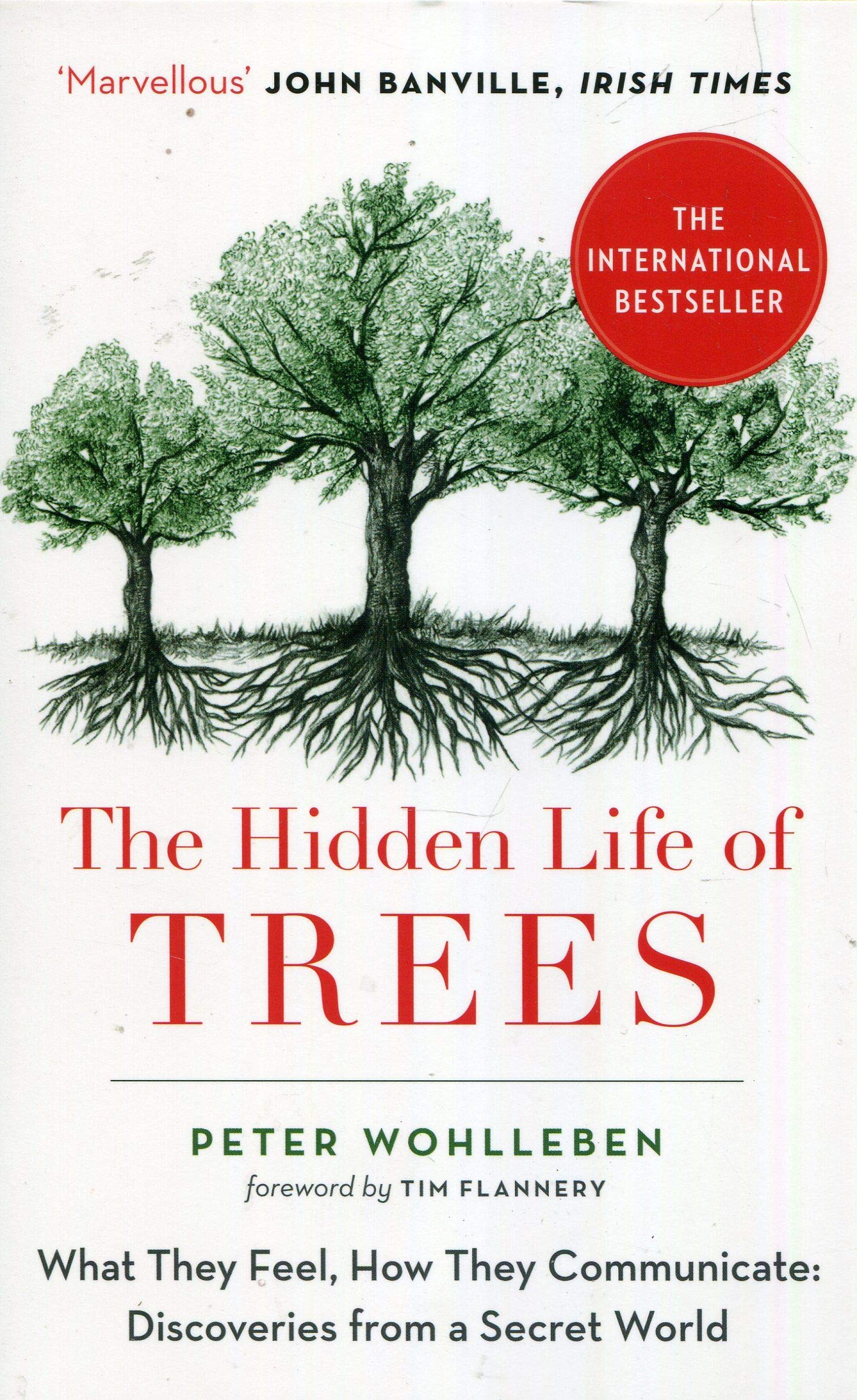 The Hidden Life of Trees: What They Feel, How They Communicate: Discoveries from a Secret World