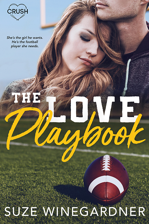 The Love Playbook book cover