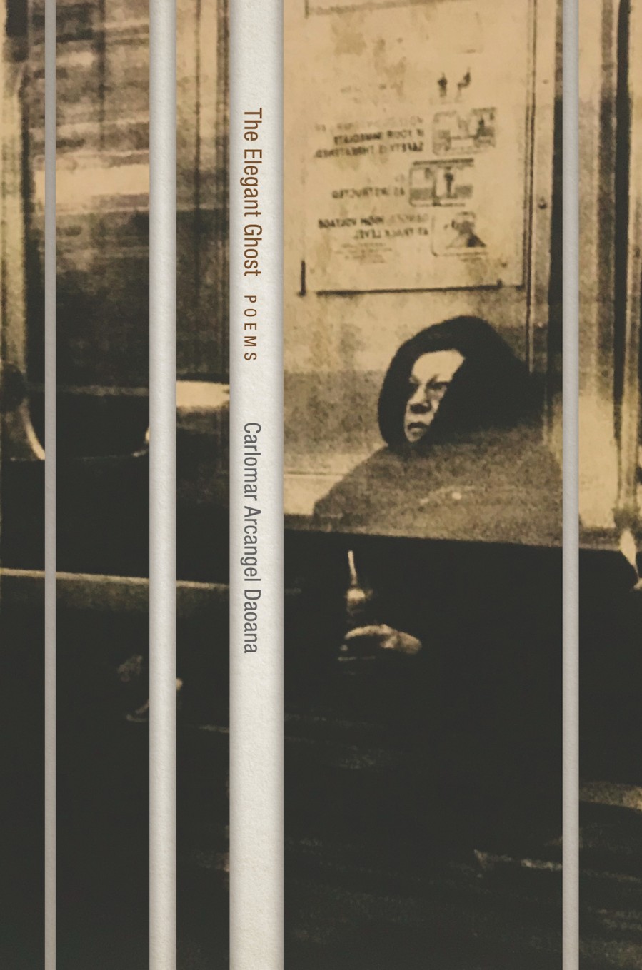 The Elegant Ghost: Poems