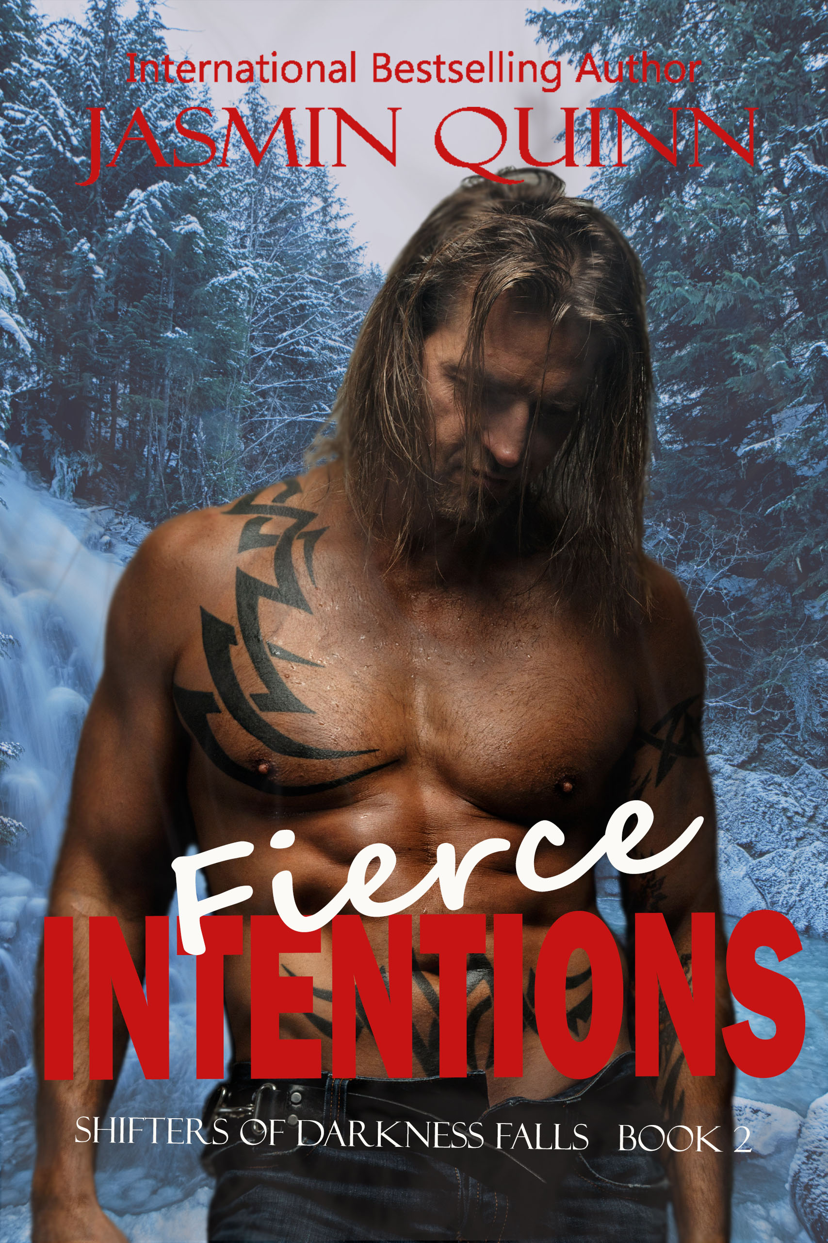 Shifters of Darkness Falls book cover 2