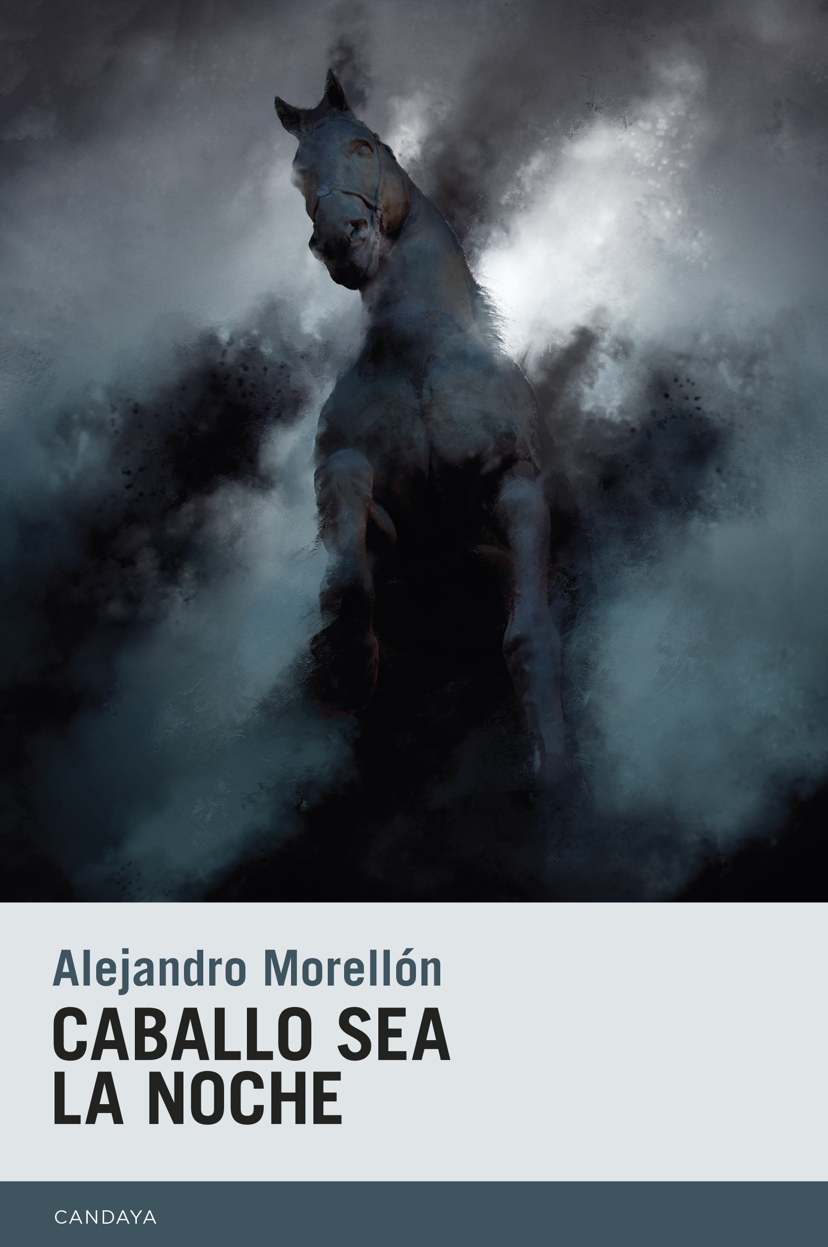 Caballo sea la noche book cover