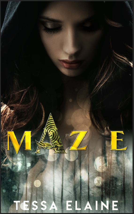 Maze book cover