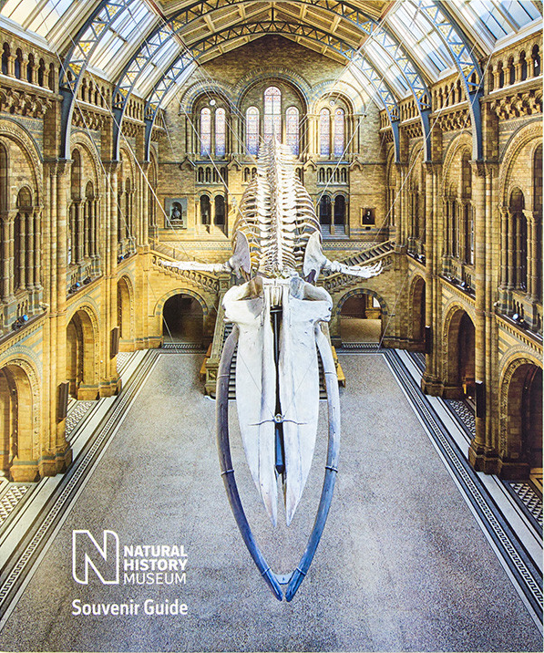 Natural History Museum Souvenir Guide
