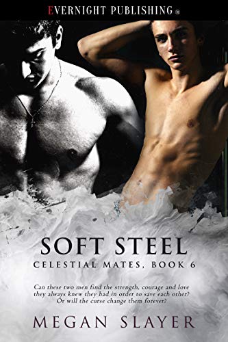 Soft Steel book cover