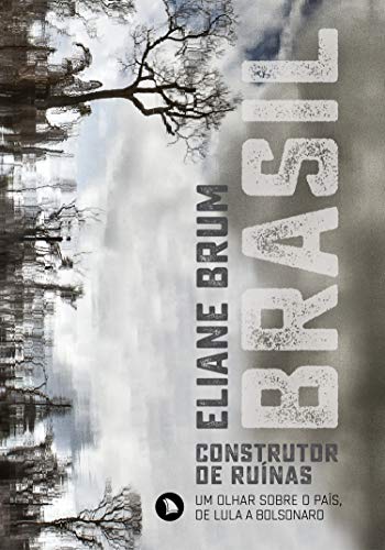Brasil, construtor de ruínas book cover