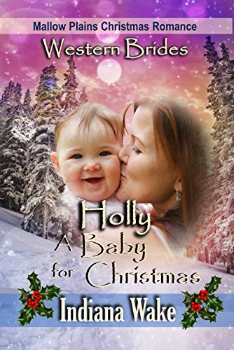 Mallow Plains Christmas Romance book cover 1