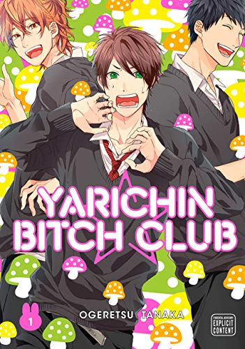 Yarichin Bitch Club, Vol. 1 (Yarichin Bitch Club, #1)