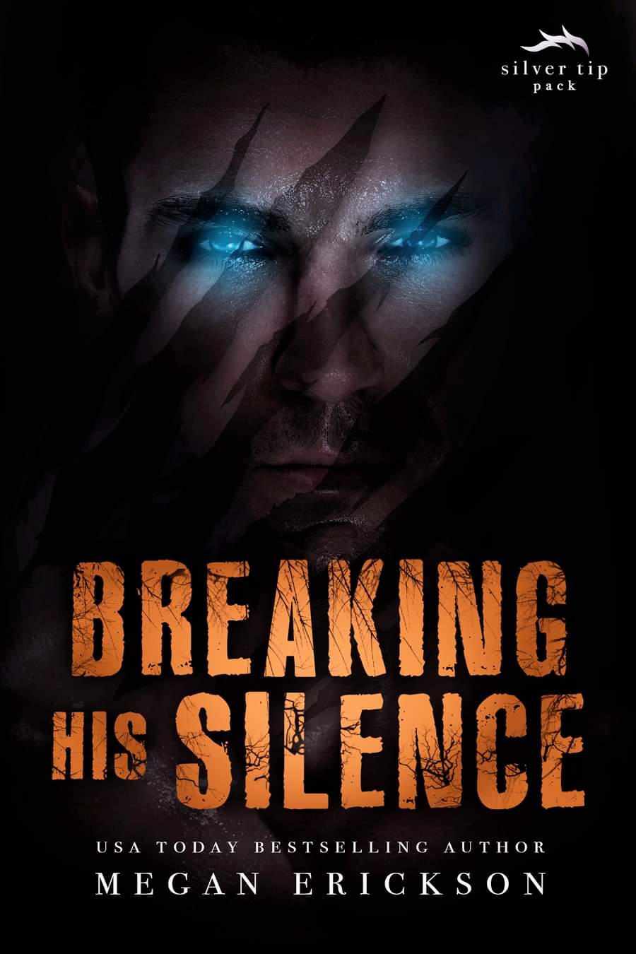 Breaking His Silence book cover