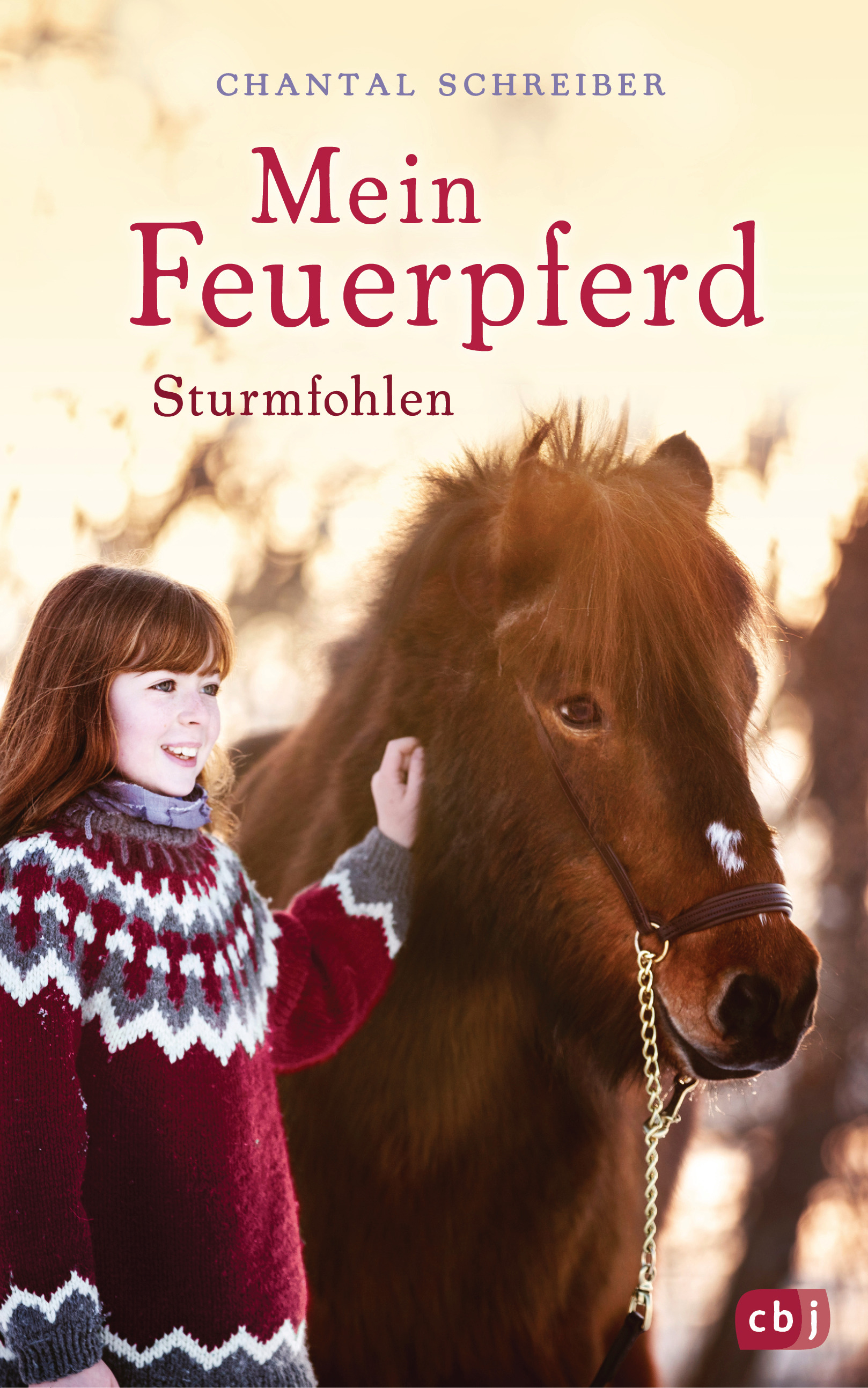 Mein Feuerpferd book cover 1