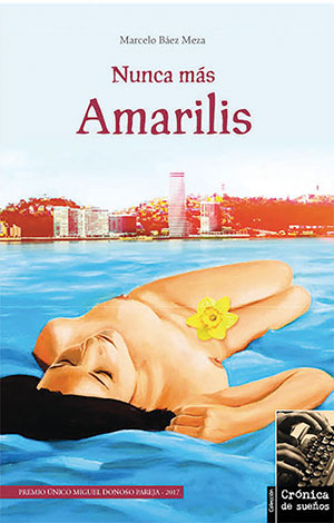 Nunca más Amarilis book cover