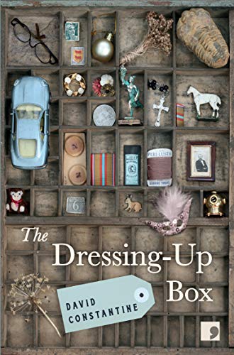 The Dressing-Up Box book cover