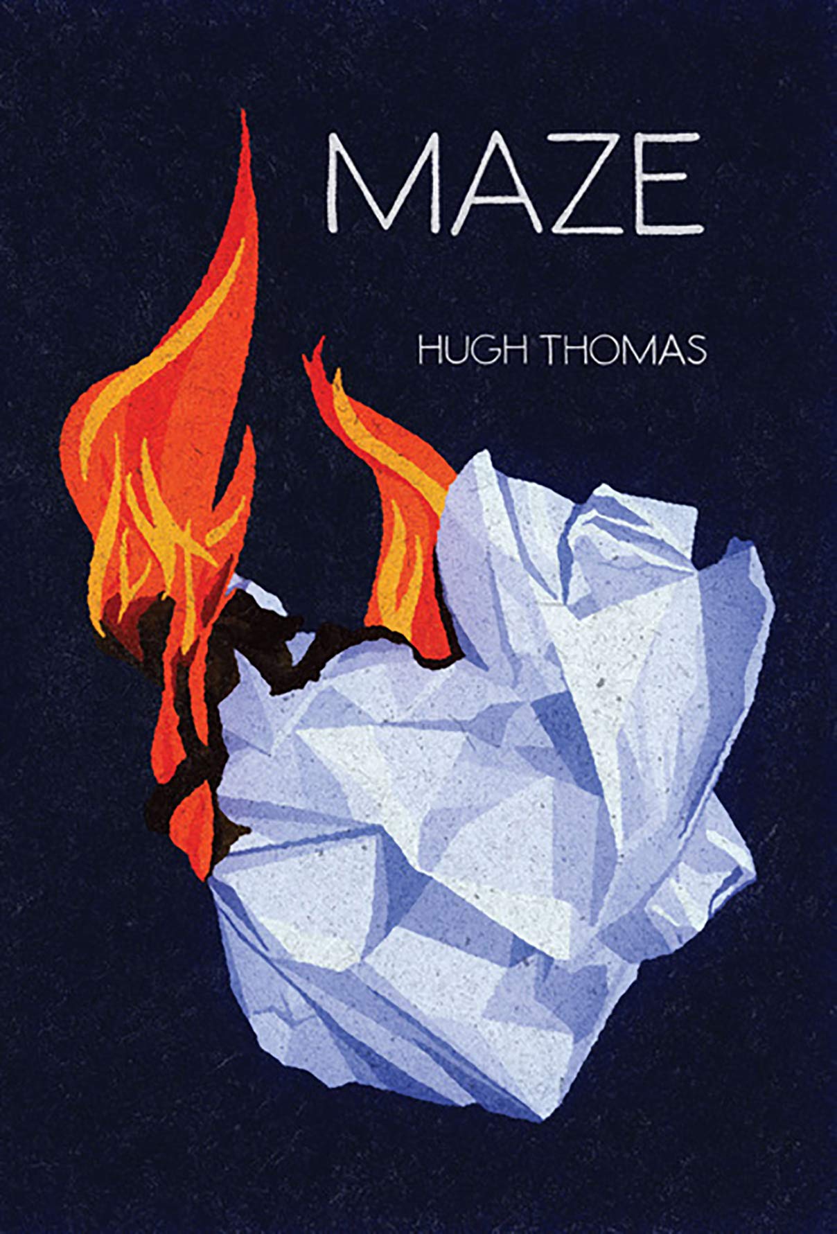 Maze book cover