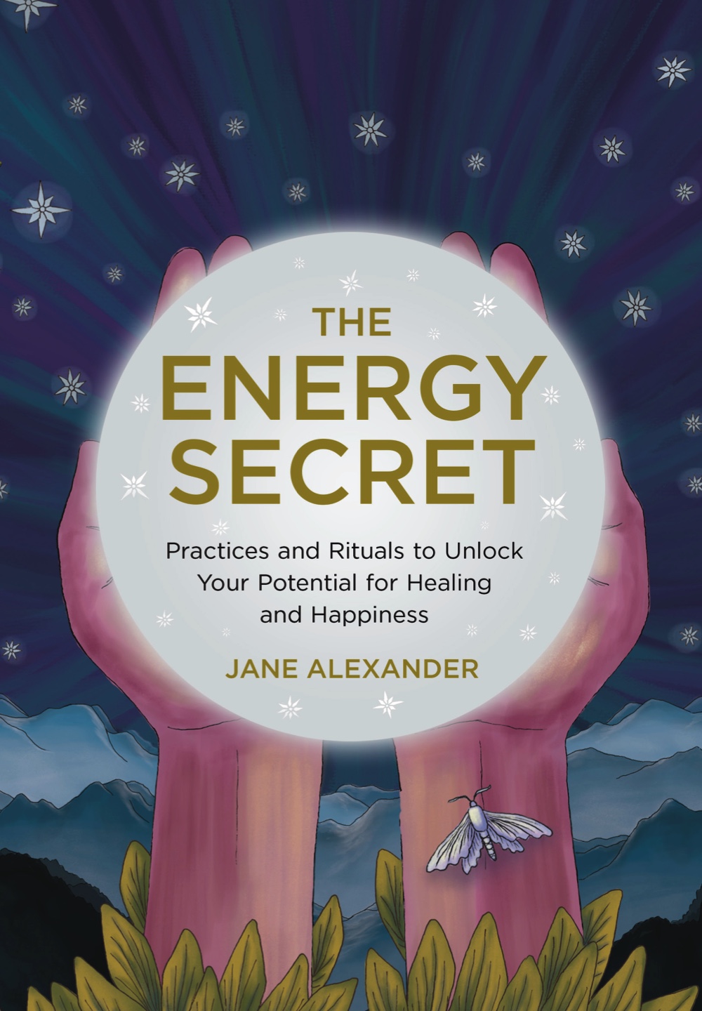 The Energy Secret book cover
