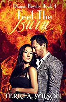 Feel the Burn book cover