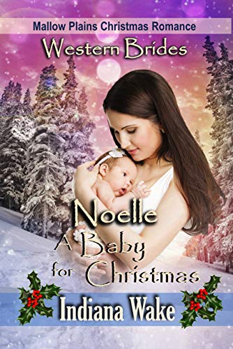 Mallow Plains Christmas Romance book cover 2