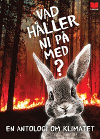 Vad håller ni på med? book cover