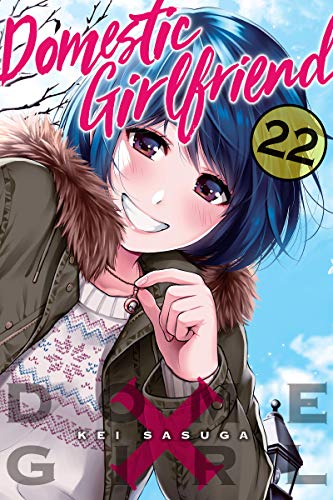 Domestic Girlfriend, Vol. 22 book cover