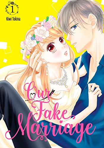 Our Fake Marriage, Vol. 1