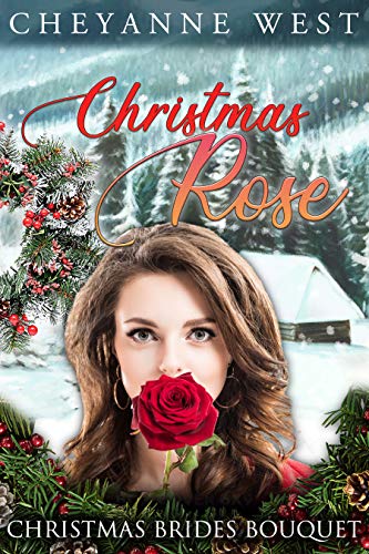 Christmas Rose