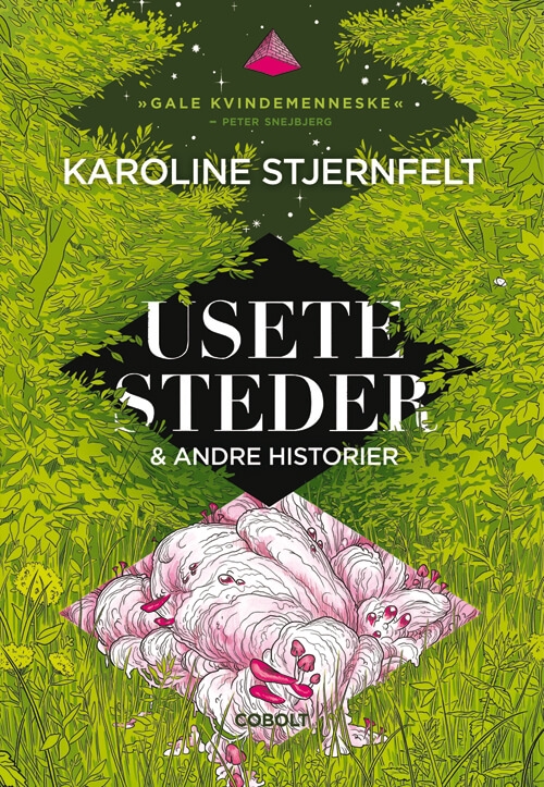 Usete steder book cover