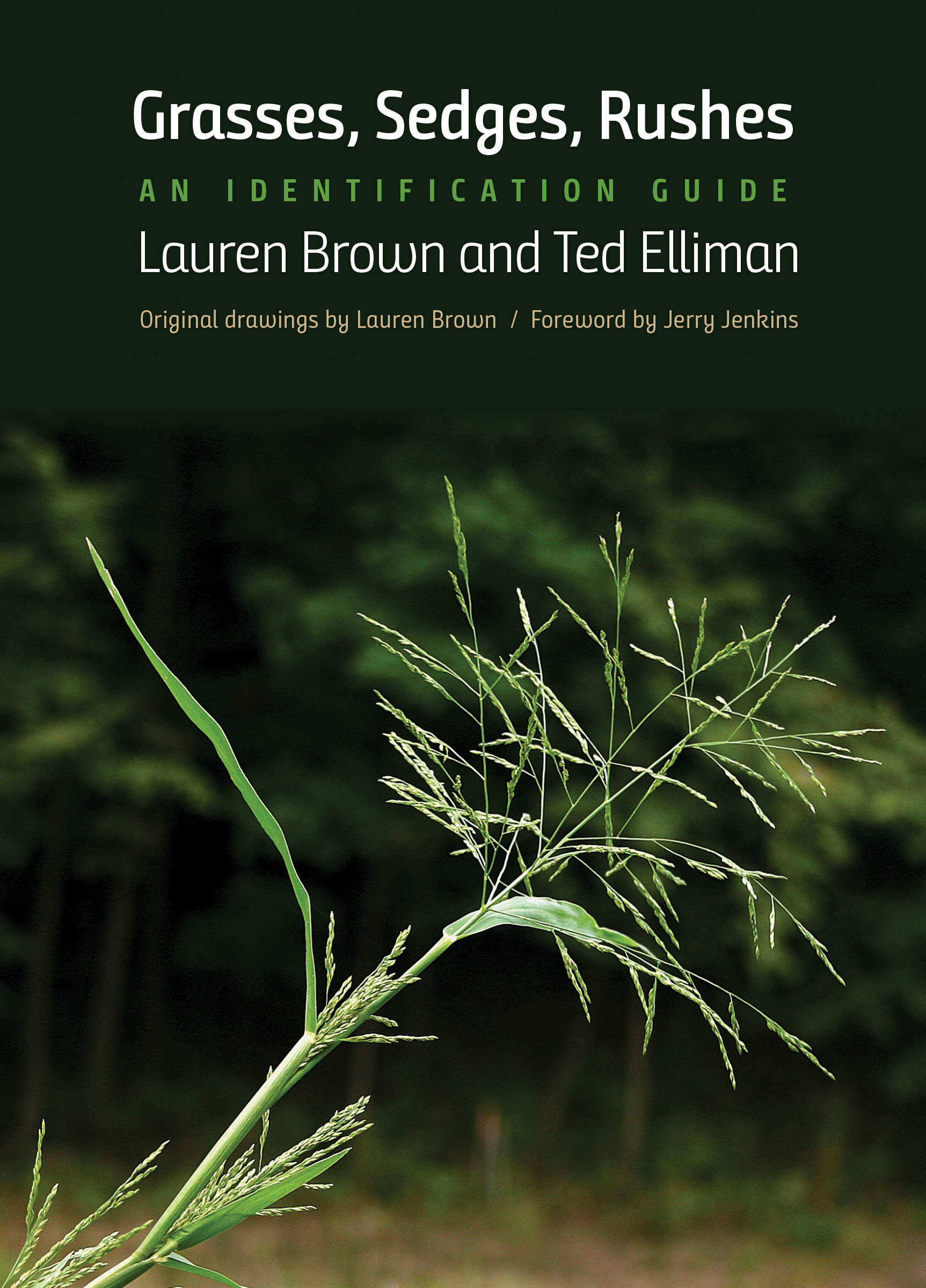 Grasses, Sedges, Rushes An Identification Guide by Lauren Brown