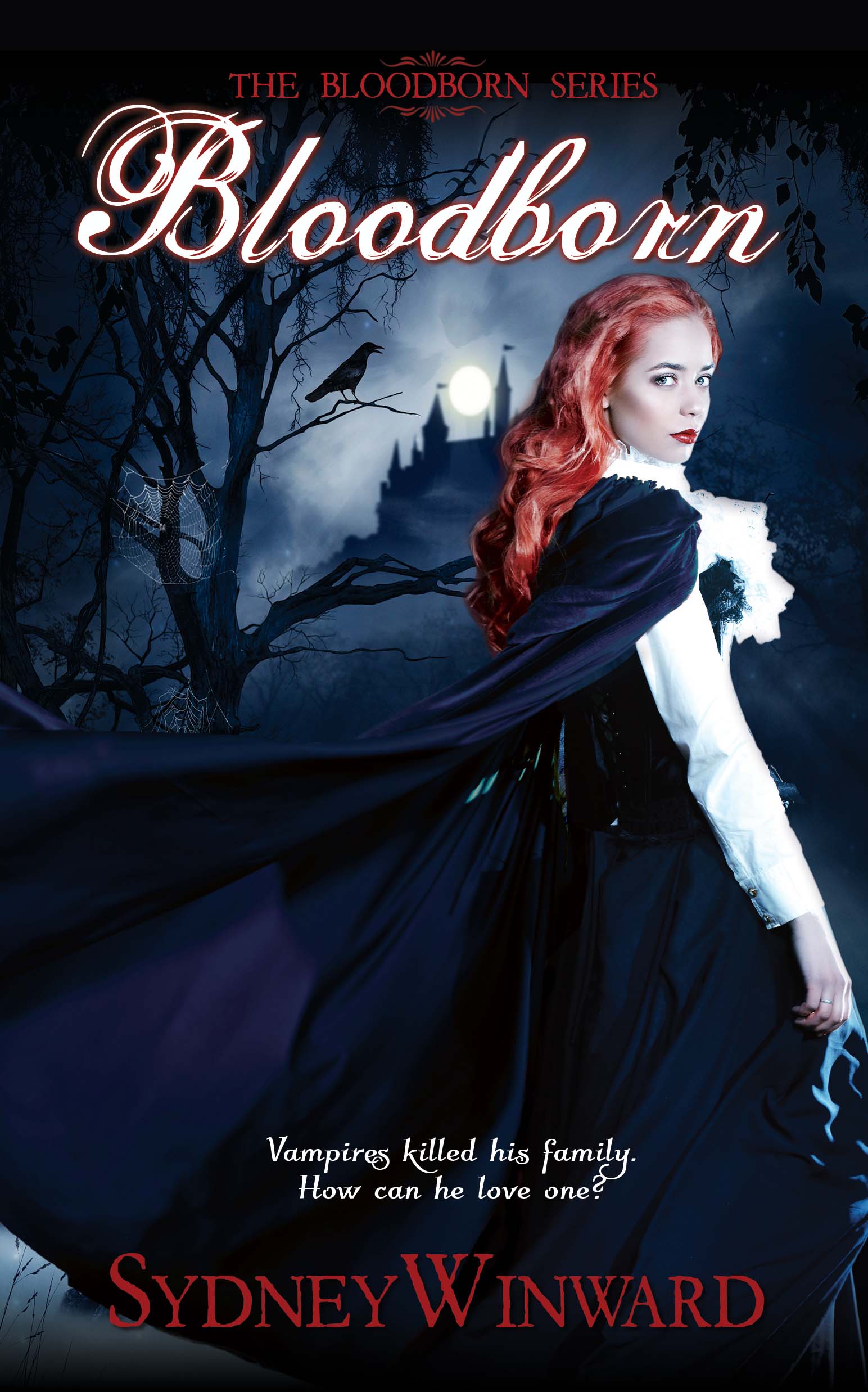 Bloodborn book cover 2