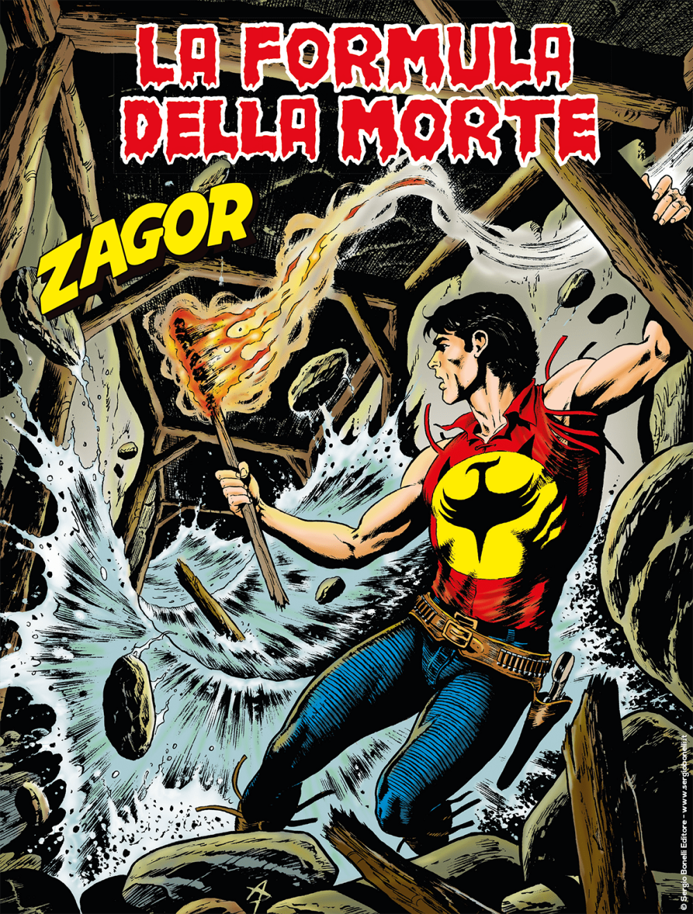 Zagor n. 652 book cover