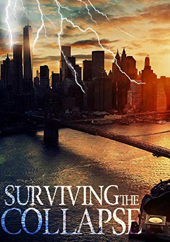 Surviving the Collapse book cover