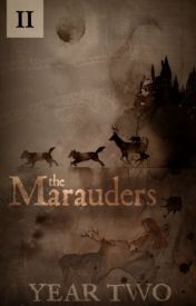 The Marauders: Year Two