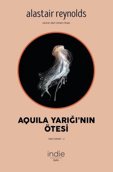 Aquila Yarığının Ötesi book cover
