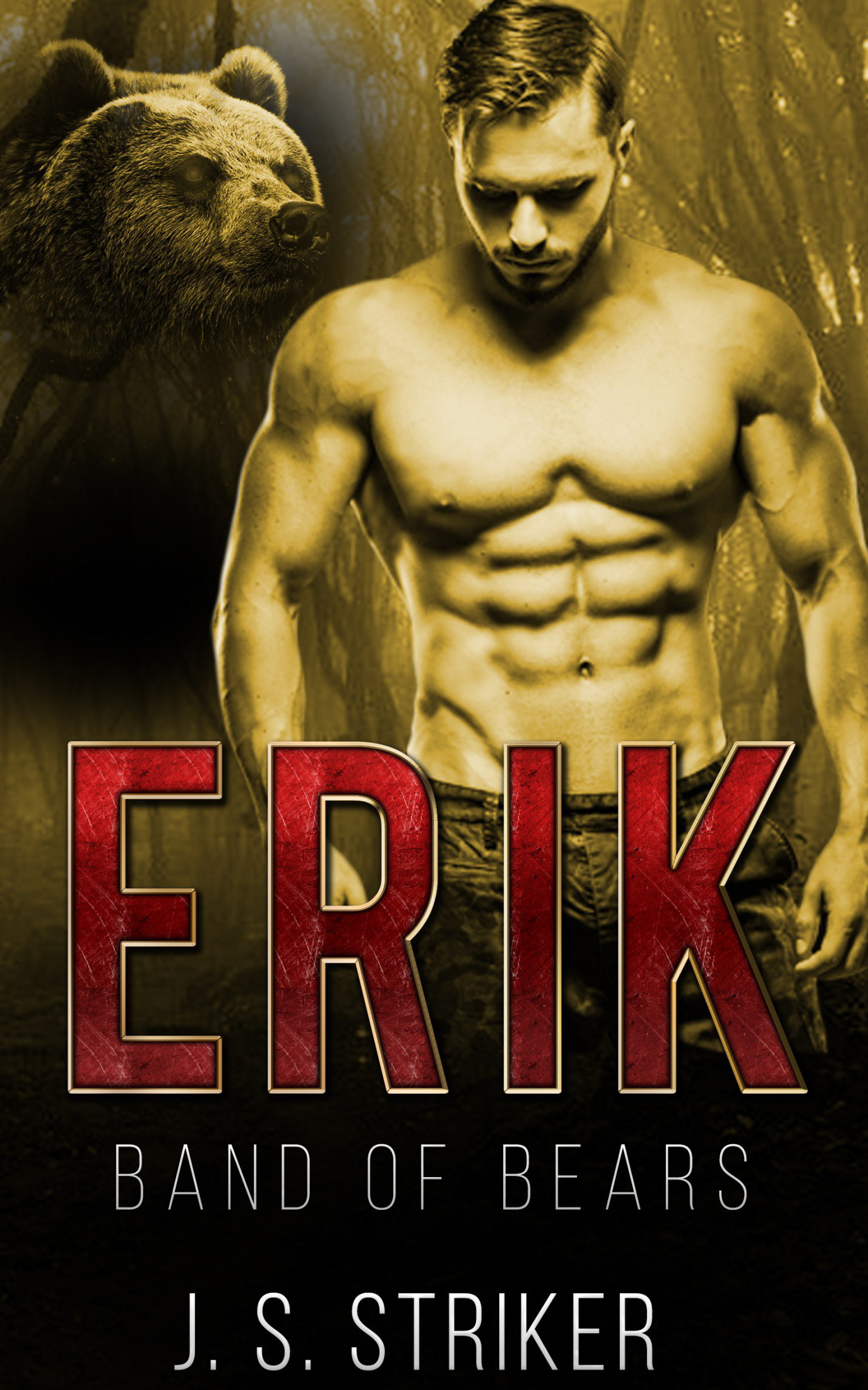 Erik book cover