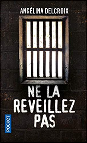 Joy Morel book cover 1