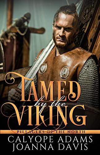 Tamed By The Viking