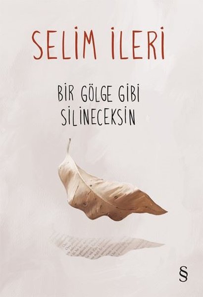 Bir Gölge Gibi Silineceksin book cover