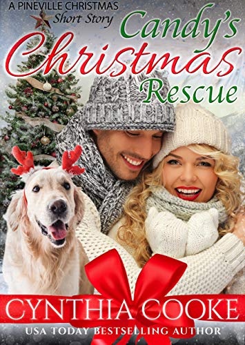 Candy's Christmas Rescue