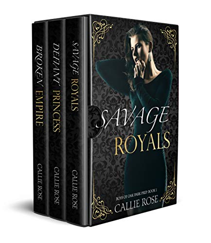 Boys of Oak Park Prep book cover