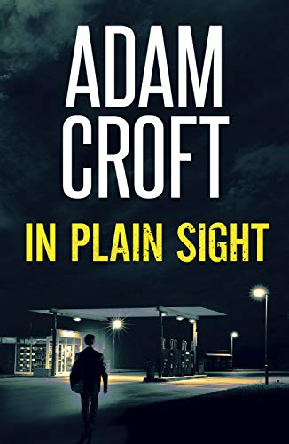 In Plain Sight book cover