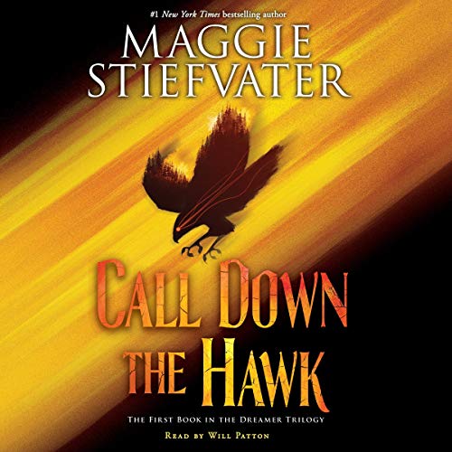 Call Down the Hawk (Dreamer, #1)