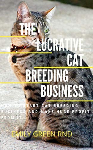 How to Start Cat Breeding: Ultimate Guide for Beginners
