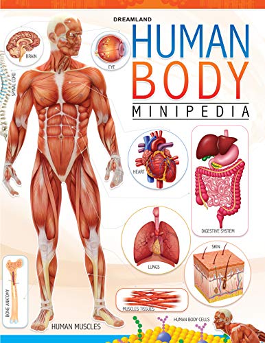 Human Body Minipedia book cover