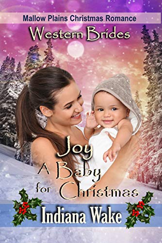 Joy book cover