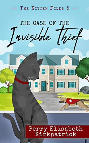 The Case of the Invisible Thief
