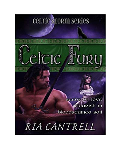 Celtic Fury book cover