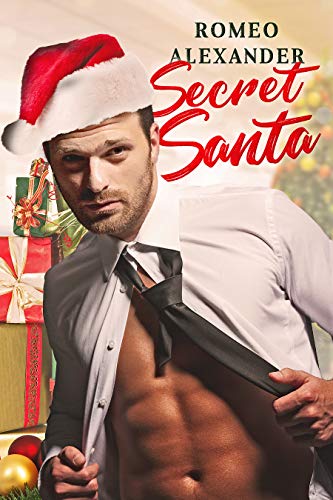 Secret Santa book cover