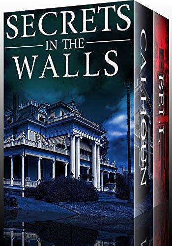 Secrets in the Walls book cover