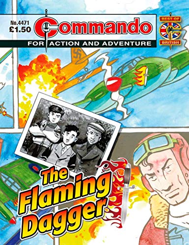 Commando #4471 book cover