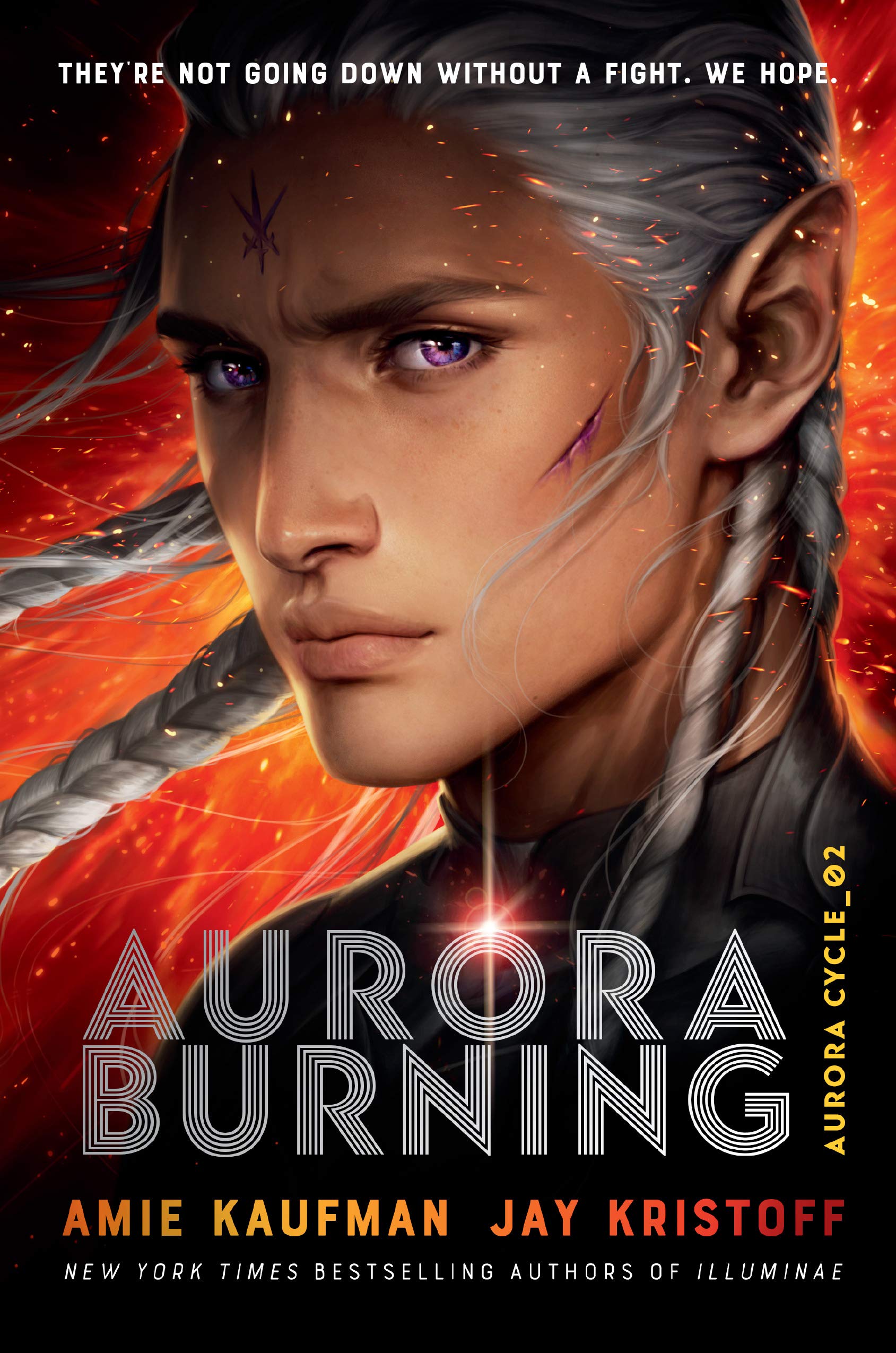 Aurora Burning (The Aurora Cycle #2)
