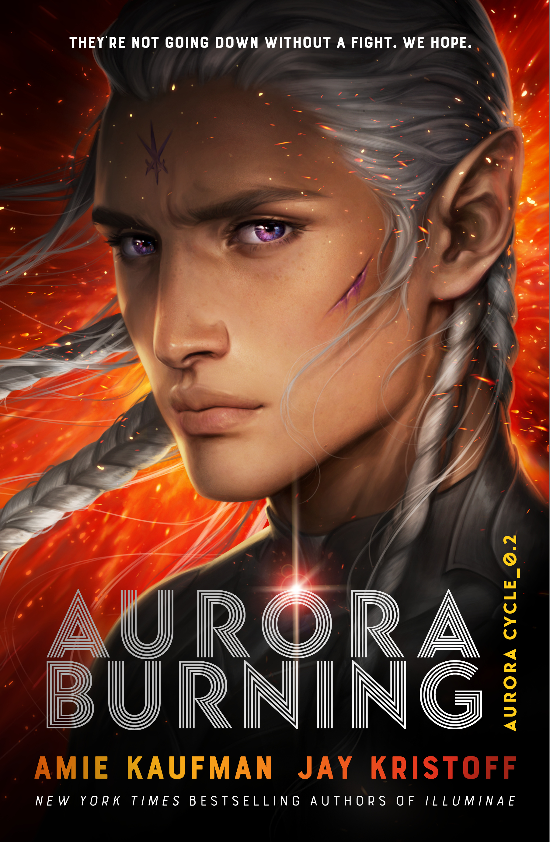Aurora Burning (The Aurora Cycle, #2)